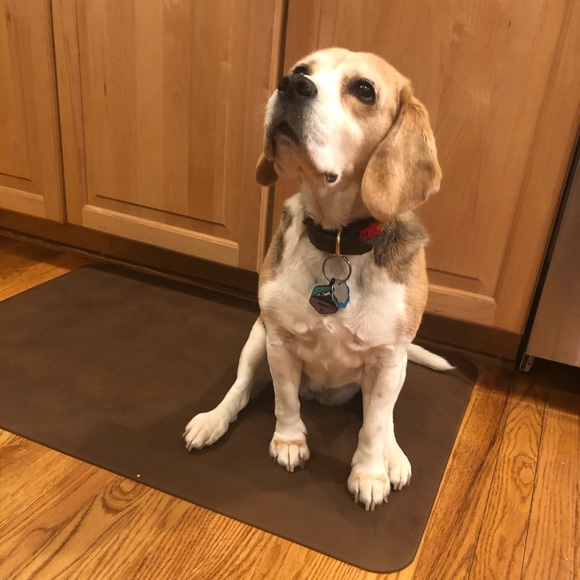 Meet your Posher, William - Picture 1 of 1